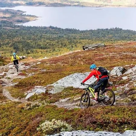 Out I Lägenhet Oppdal