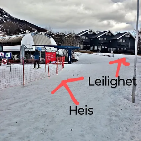 Out I Oppdal